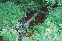 Pozosta�o�ci Malowanego Mostu kolei w�skotorowej