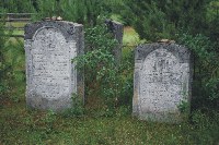 Cmentarz �ydowski w dzielnicy Borek